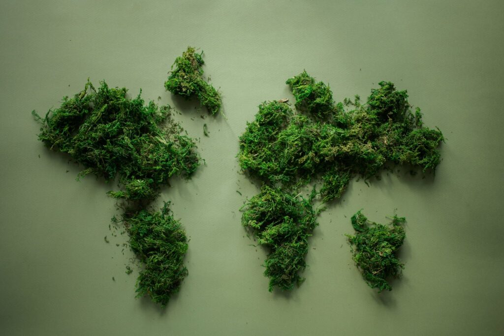 World map made of green plants