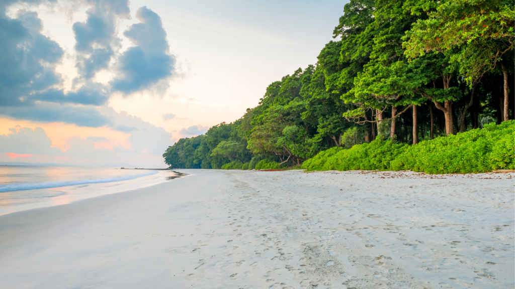 Places to Visit in Andaman and Nicobar Islands