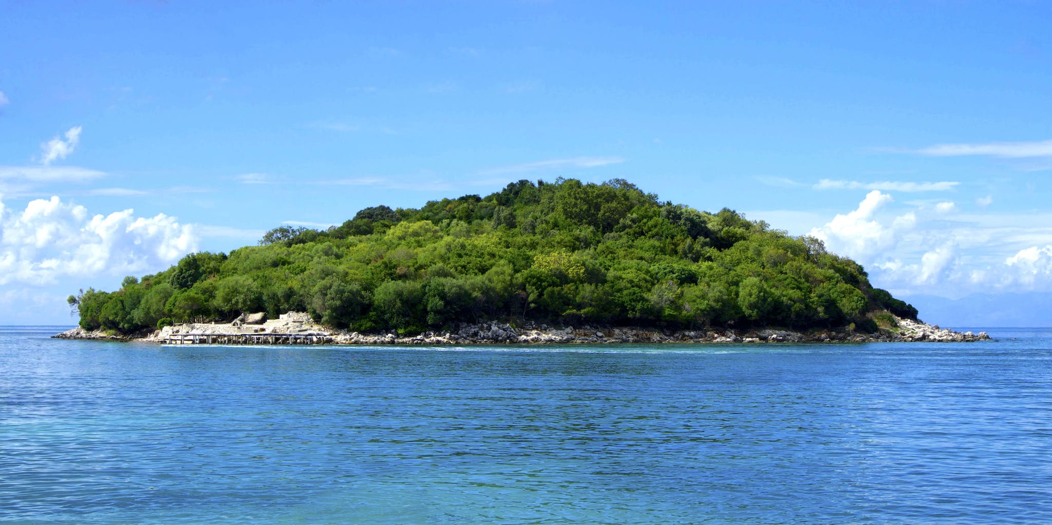 Island Covered With Green Trees Under the Clear Skies